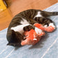 Flappy Dancing Lobster Cat Toy