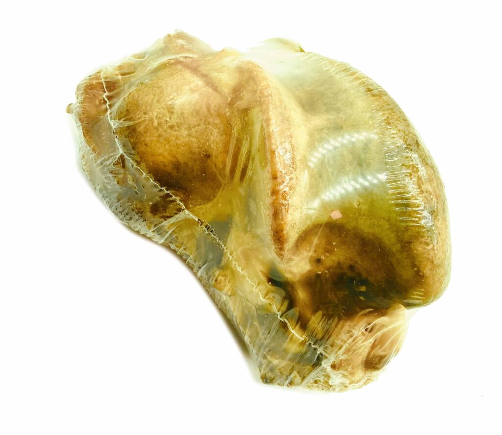 Natural Dehydrated Beef Knuckle Bone