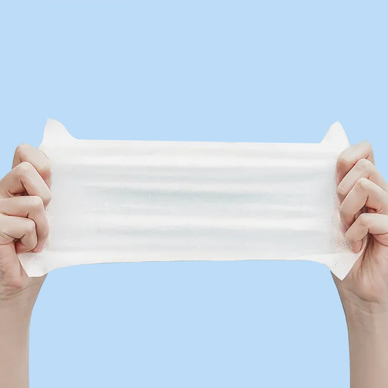 Disposable Pet Grooming Wipes - Paws Discovery