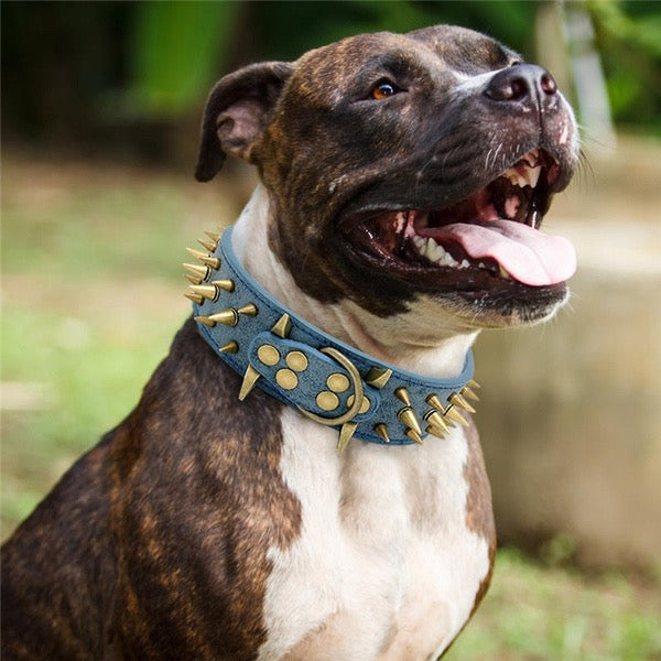 Puppy spiked collar best sale