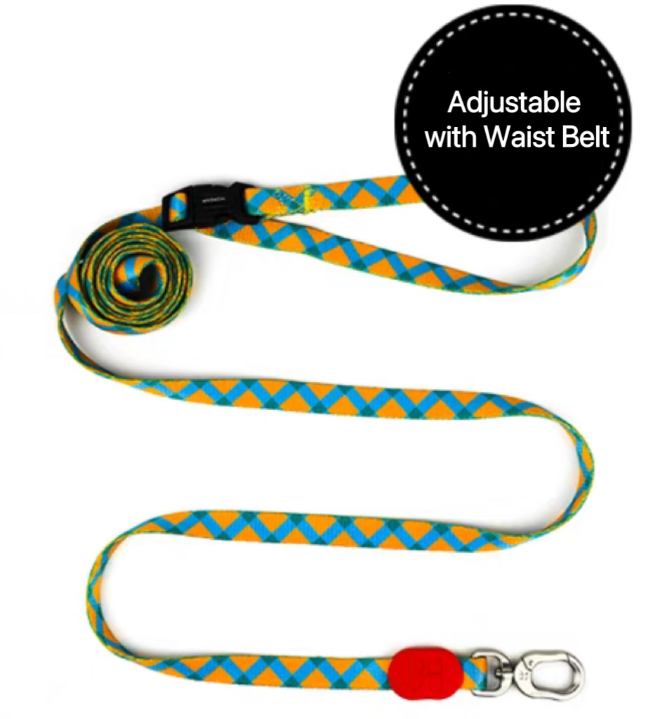 Adjustable Waist Dog Leash with Shock Absorbing - Paws Discovery