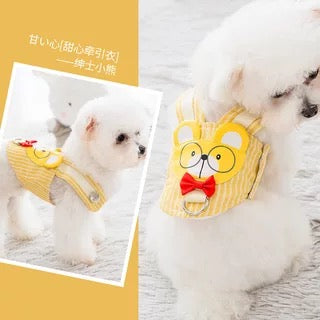 Pet Dressy Harness with Leash - Paws Discovery