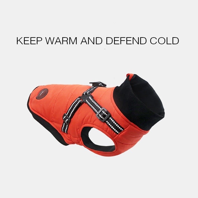 Winter Jacket Coat with Built-in Harness - Paws Discovery