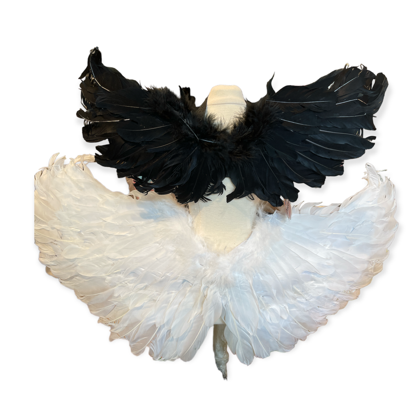 Halloween Costume - Paws Discovery