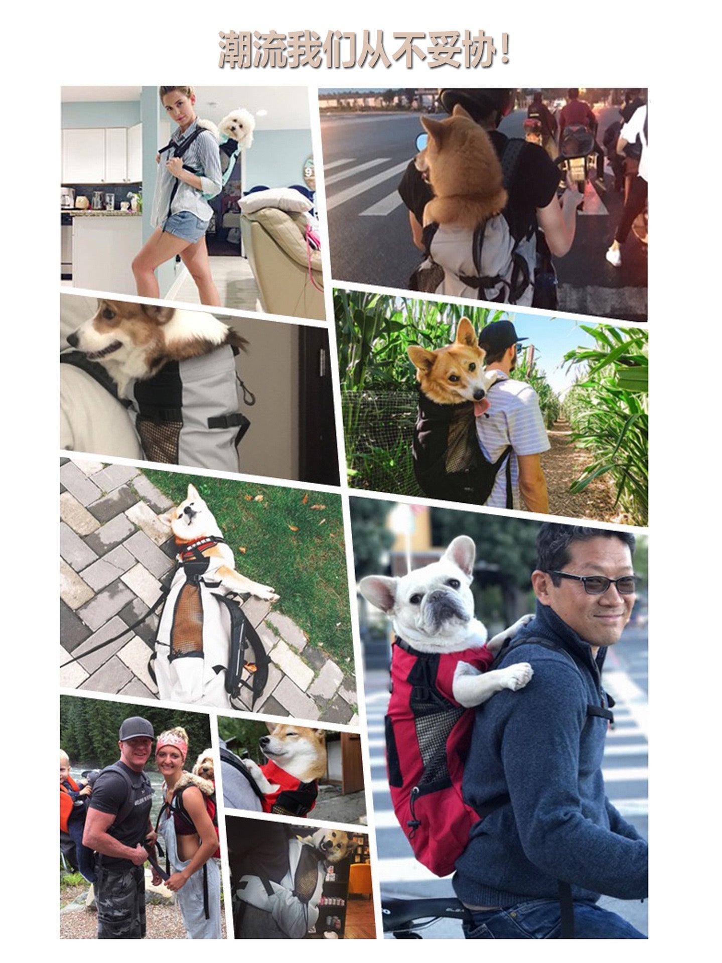 Adjustable Pet Carrier Backpack - Paws Discovery