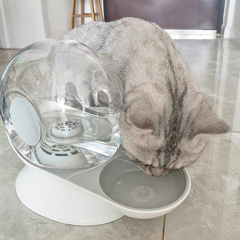 Gravity-Powered Pet Water Feeder: Effortless Hydration for Cats and Dogs - Paws Discovery
