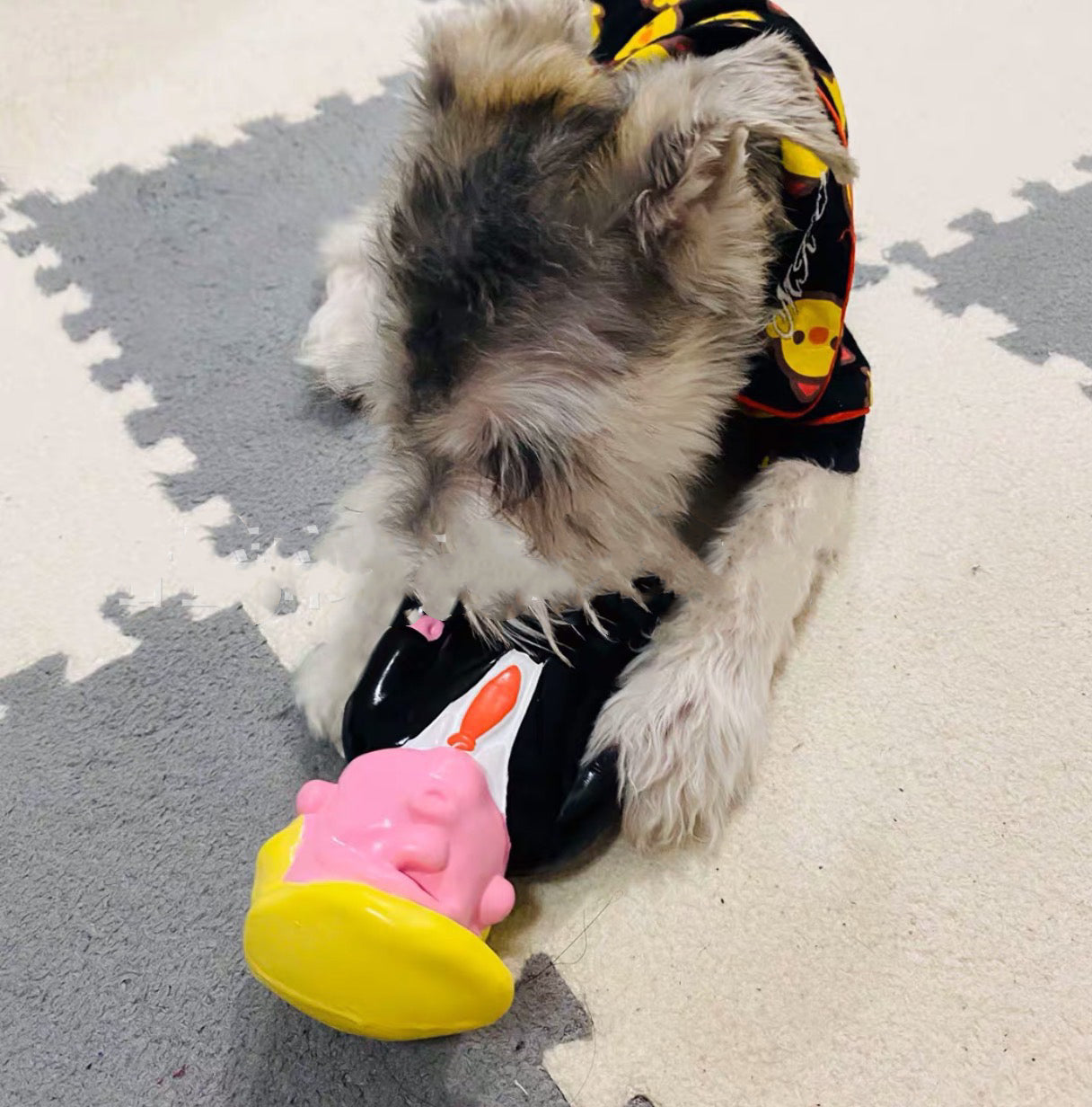 Non-Toxic Latex Squeaker Trump Toy - Paws Discovery