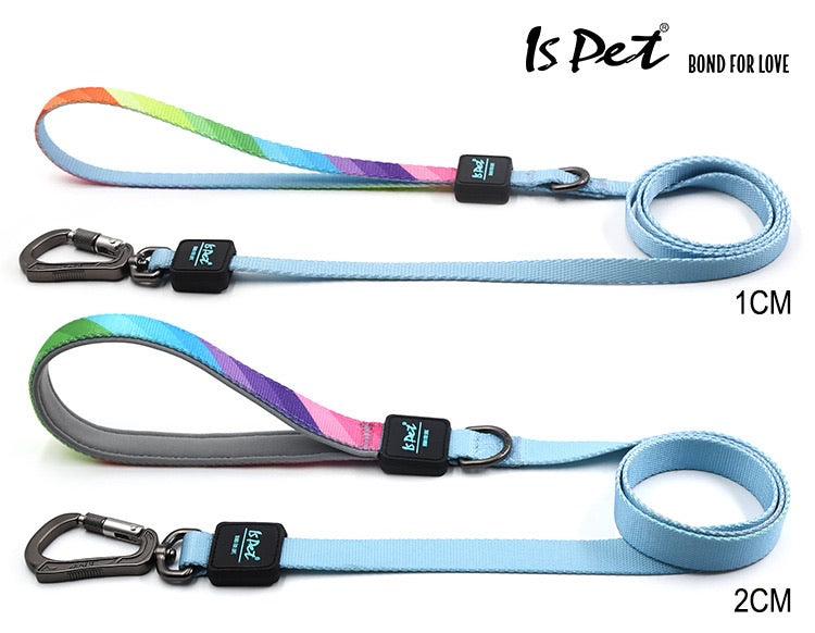 Woven Dog Leash With Padded Handle - Paws Discovery