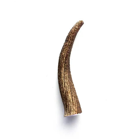 Whole Elk Antler Chew - X Large