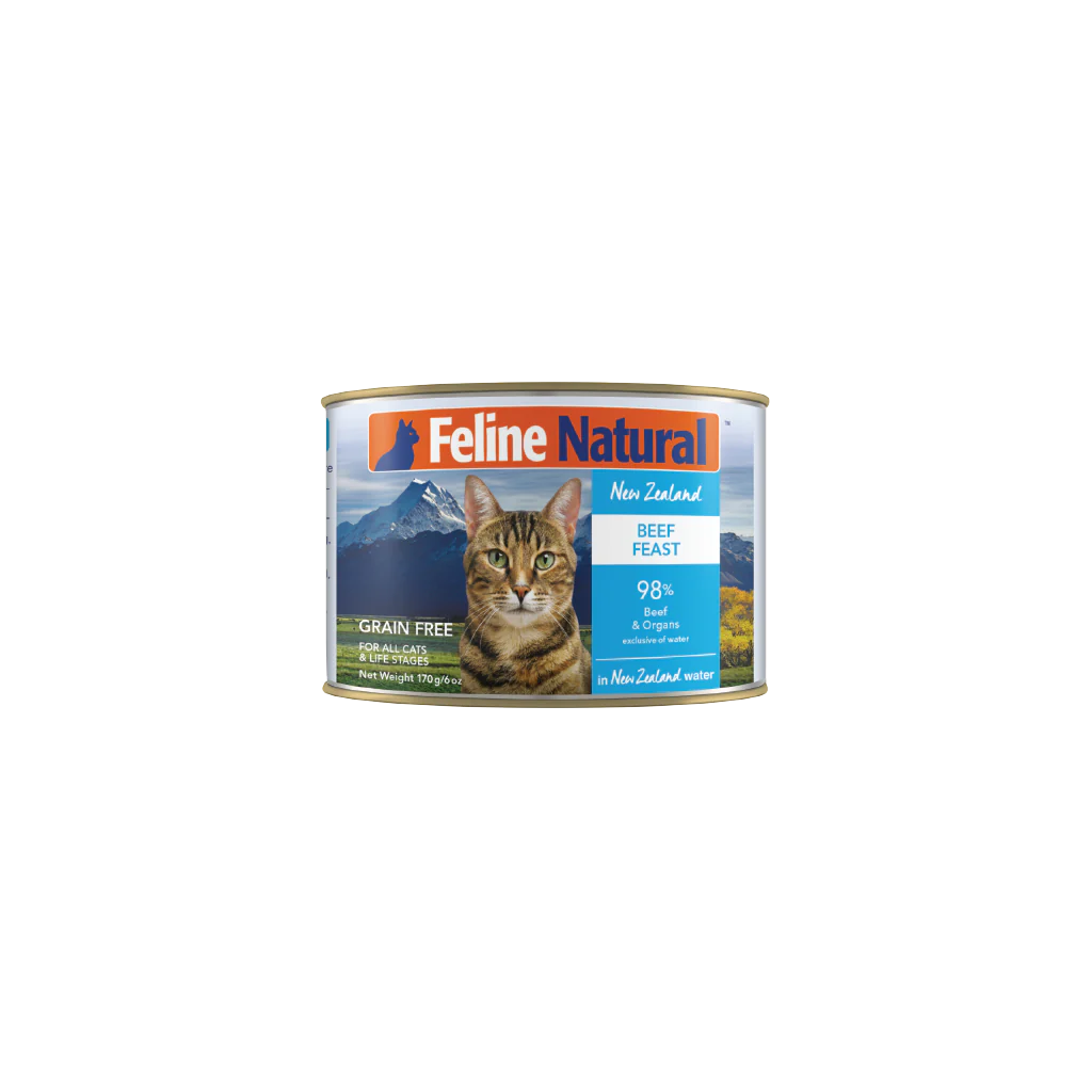 Feline Natural Beef Feast Can 170g