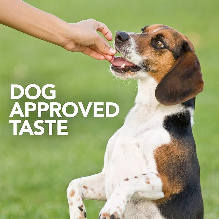 Probiotic Soft Chews for Dogs - Paws Discovery 