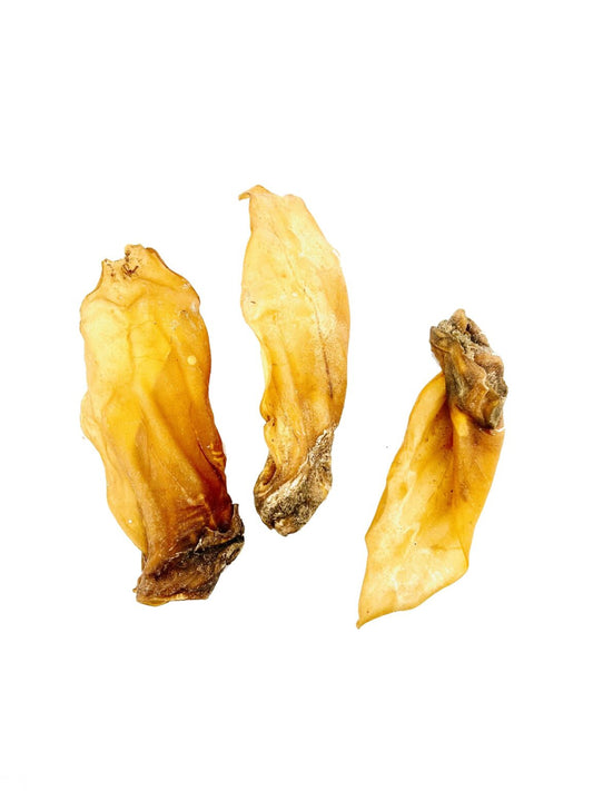 Lamb Ear 1pc