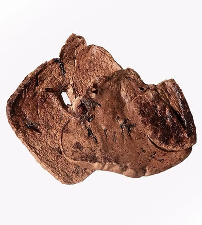 Dehydrated Lamb Lung Per Gram