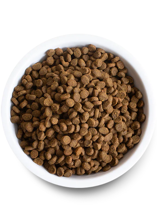 Open Farm Cat Kibble Wild-Caught Salmon Grain-Free 4 lb