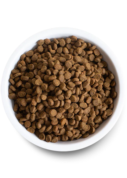 Open Farm Cat Kibble Wild-Caught Salmon Grain-Free 4 lb