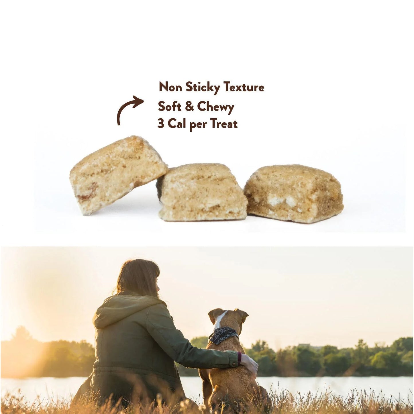 Northern Biscuit Soft Treats for Dogs Lamb + Pumpkin