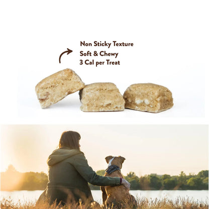 Northern Biscuit Soft Treats for Dogs Lamb + Pumpkin