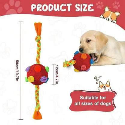 Enrichment Dog Snuffle Ball Interactive Toy - Paws Discovery 