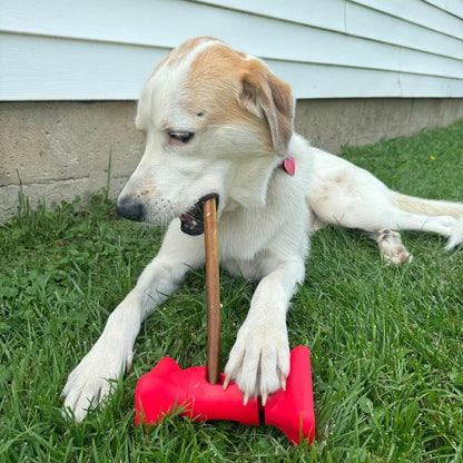 Bully Stick Treat Holder