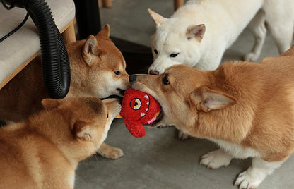 Fluffy Squeaker Monster Ball Toy - Paws Discovery 