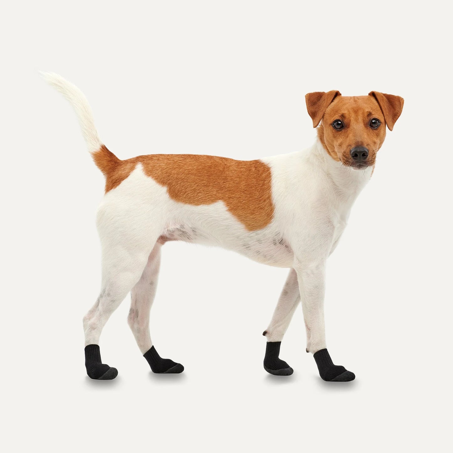 Anti slip dog boots