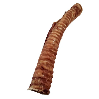 1pc Beef Trachea - Paws Discovery 