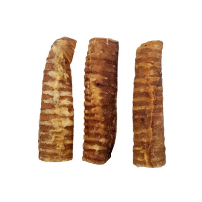 1pc Beef Trachea - Paws Discovery 