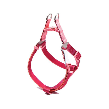 Adjustable Dog Harness - Paws Discovery 