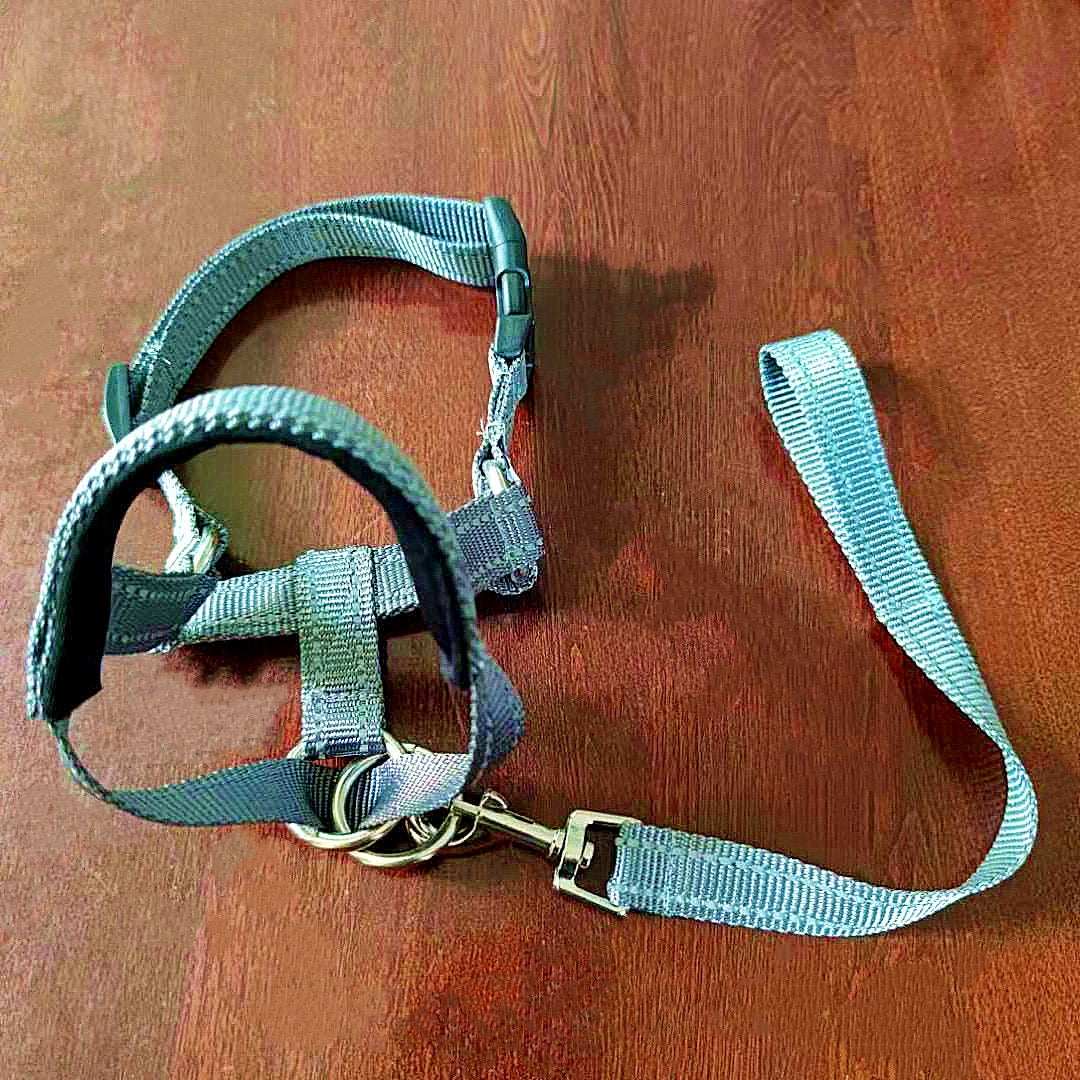No Pull Training Head Collar for Dogs