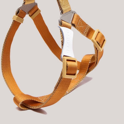 Adjustable Dog Harness - Paws Discovery 