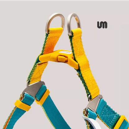 Adjustable Dog Harness - Paws Discovery 