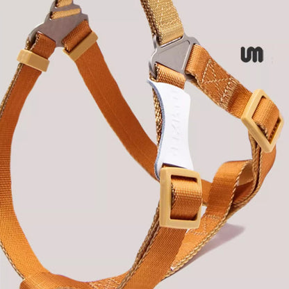 Adjustable Dog Harness - Paws Discovery 