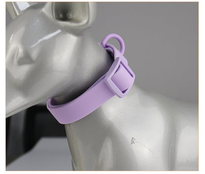 Waterproof Dog Collar - Paws Discovery 