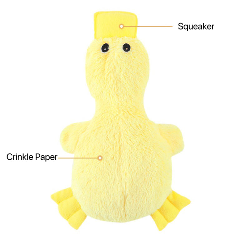 Squeaky Crinkle Toy For Dogs and Cats