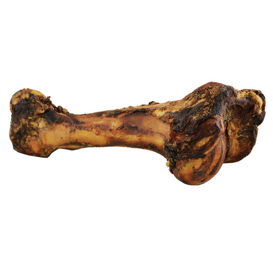 Large Beef Mammoth Bones - Dino Bones 12-14 Inch