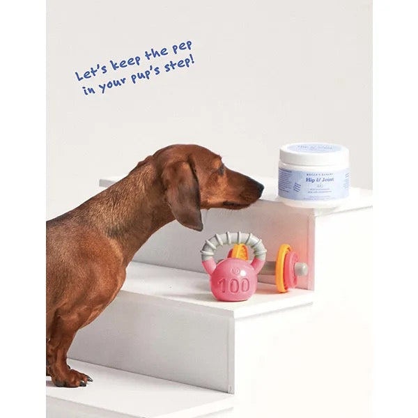 Dog Supplement Hip & Joint 6.35 oz