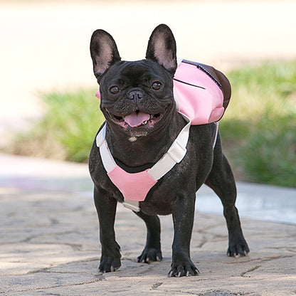 Pet Adjustable Harness Backpack - Paws Discovery 