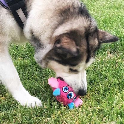 Fluffy Squeaker Monster Ball Toy - Paws Discovery 