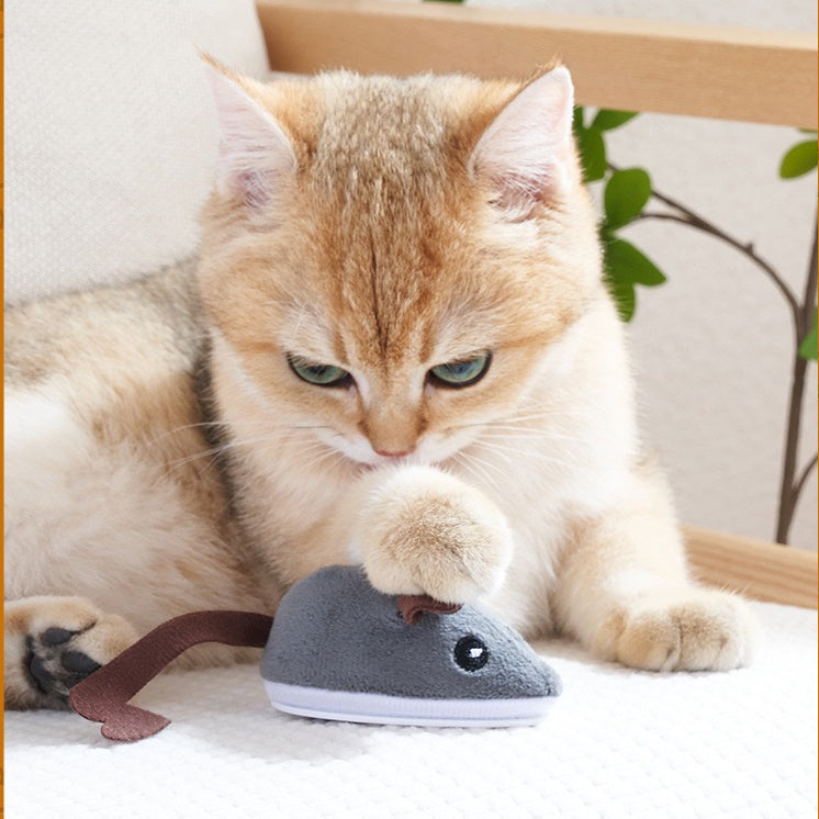 Battery Powered Robotic Mouse Cat Toy