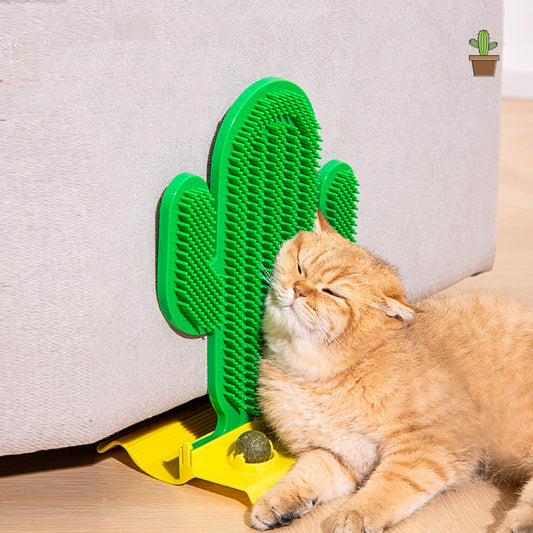 Cactus Massage Comb Wall Stand For Cat