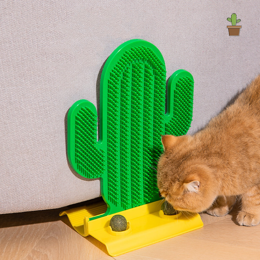 Cactus Massage Comb Wall Stand For Cat