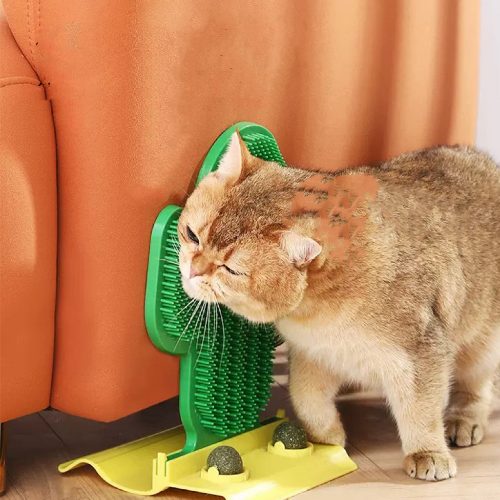 Cat brush clearance stand