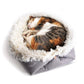 Foldable Plush Pet Bed Mat and Nest
