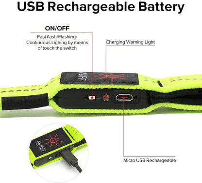 USB Charging LED Light Dog Leash - Paws Discovery 