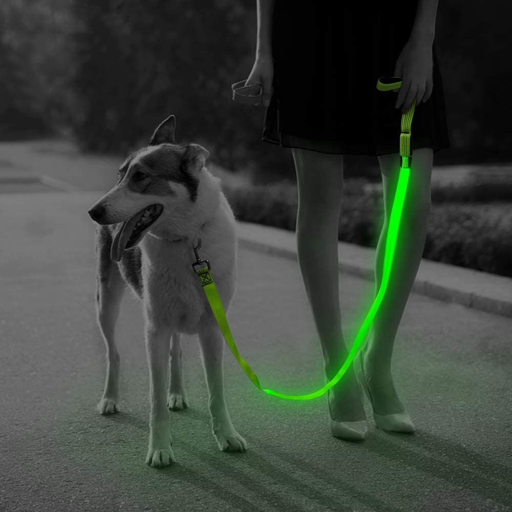 USB Charging LED Light Dog Leash