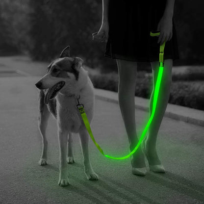 USB Charging LED Light Dog Leash - Paws Discovery 