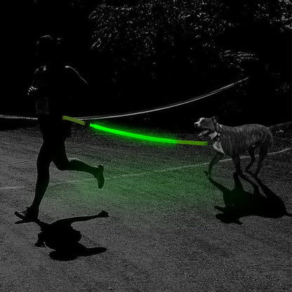 USB Charging LED Light Dog Leash - Paws Discovery 