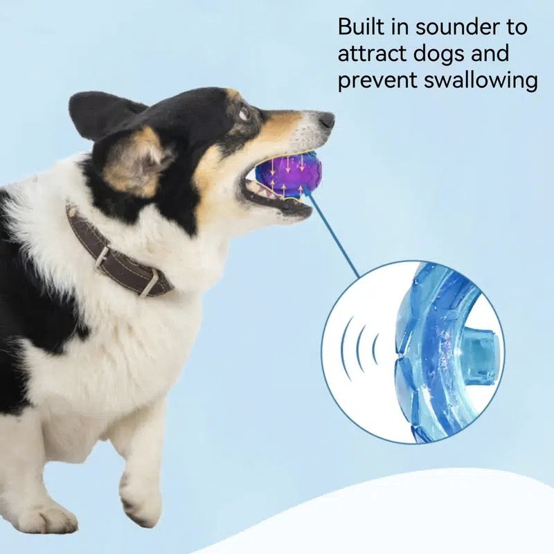 GiGwi TPR Squeaky Ball Dog Toy