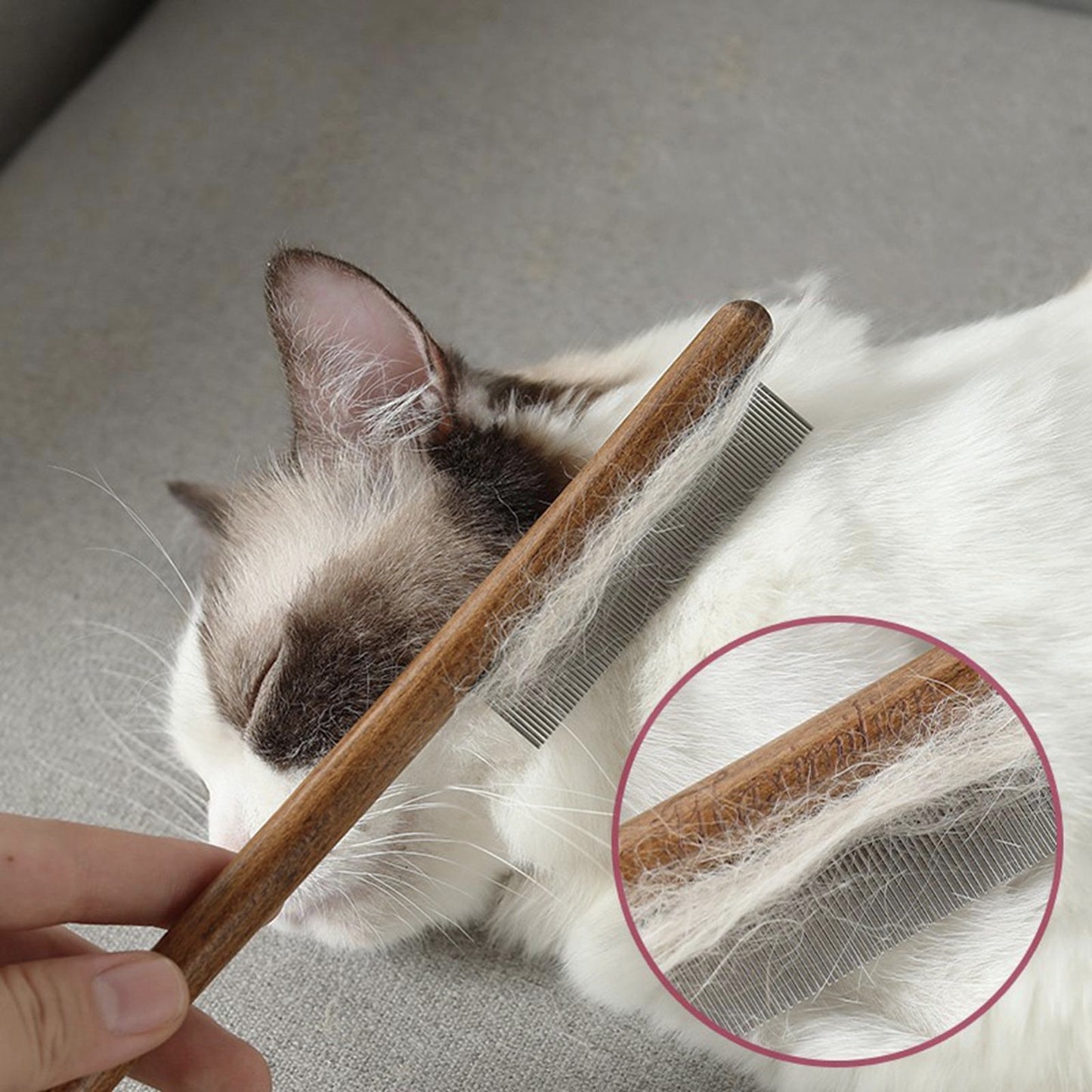 Cat and Dog Hair Brush Comb With Wood Handle