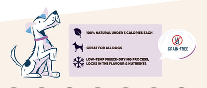 Dog Freeze Dried Salmon Treat - Paws Discovery 